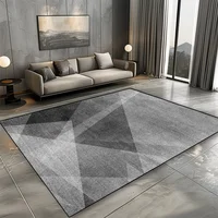 Modern Grey Carpet for Living Room Decoration Bedroom Rug for Home Lounge Rug Soft Fluffy Doormat Entrance Door Mat Non-slip 2