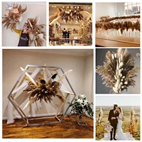 120Pcs Natural Dried Flower Pampas Bouquet Boho