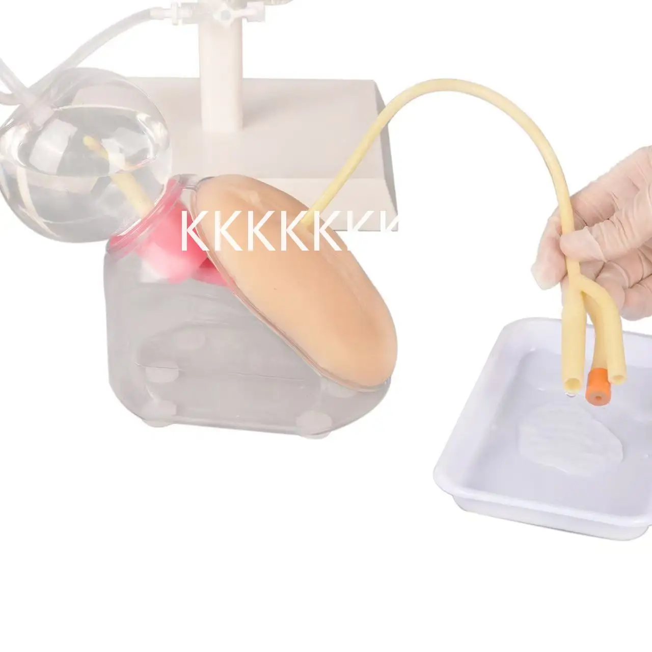 Urethral Catheterization Training Model 3