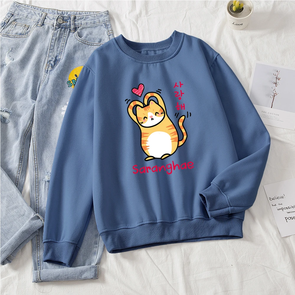 blue color korean kawaii cat sweatshirt kitty sweatshirt