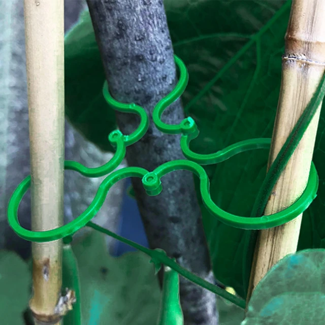 50 db Kerti Gyár Tartó Rácsos Klipek A Bonsai Szőlő Zöldség Új Paradicsom Termesztése Függőleges Állvány Szerszám - Image 3