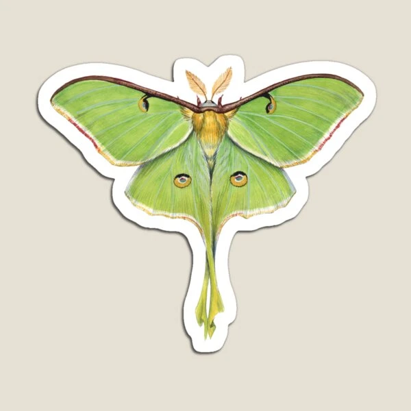 Moths - Sticker Pack Sticker for Sale by elevens