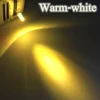 Warm White