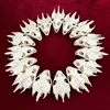 1pcs Pieces of Sea Turtle Skull Crafts Jewelry, Educational Taxidermy Monster Skull Specimen Collection 1