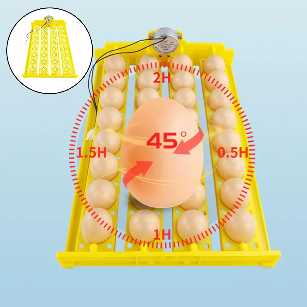 Egg Turning Tray Egg Incubator Multifunction Automatic Egg Turner Tray For 16 Eggs 72 Quail Eggs