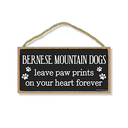 Honey Dew Gifts Bernese Mountain Dogs Leave Paw Prints, Wooden Pet Memorial Home Decor, Decorative Dog Bereavement Wall Sign, 