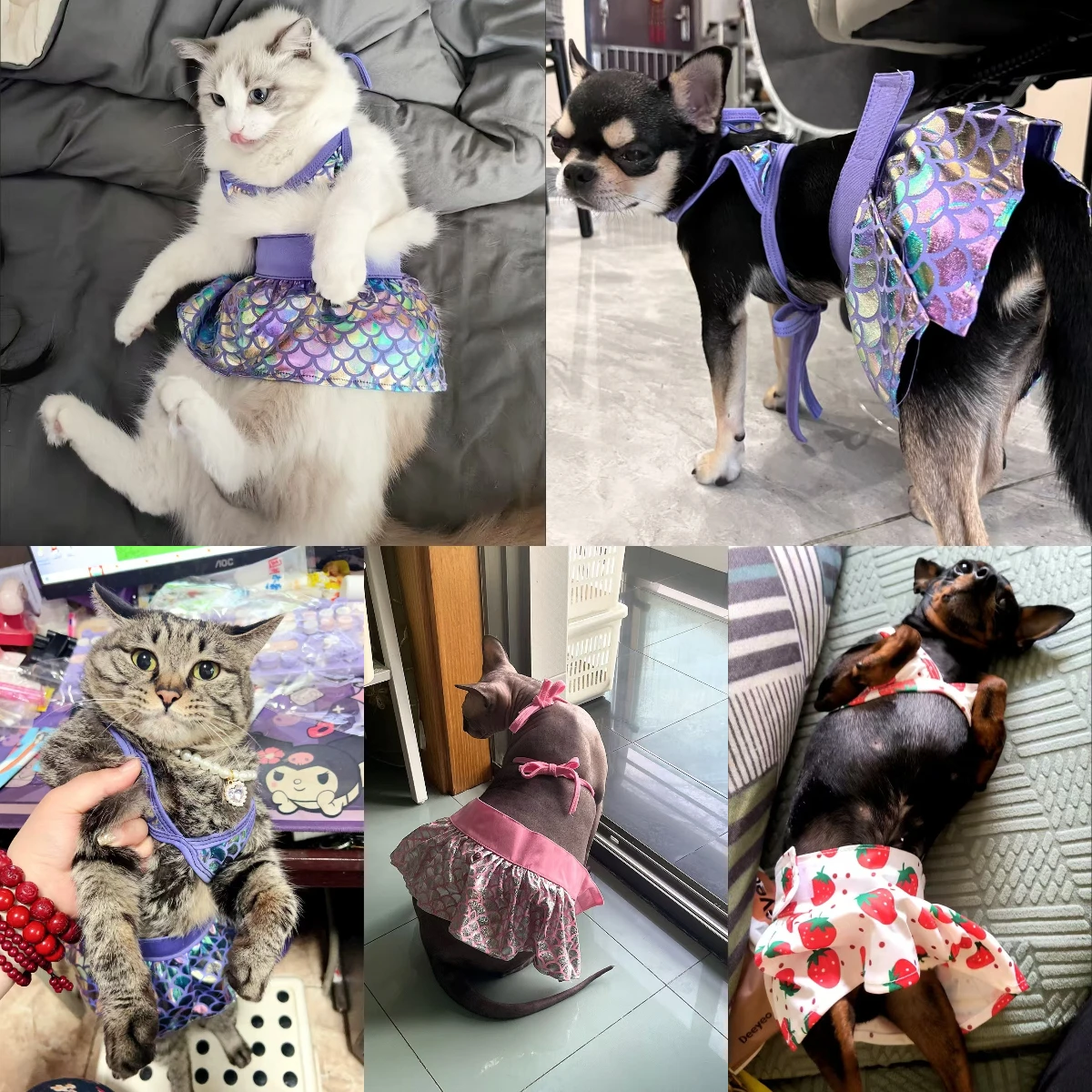 Cute Dog Cat Summer Bikini Funny Swimsuits Pet Dog Dress Kitten Skirts for Small Dogs Puppy Cat Clothes Chihuahua Sphinx Clothes
