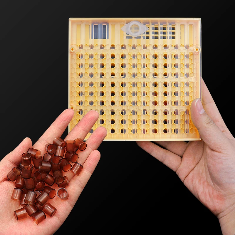 Beekeeping-Queen-Rearing-Cell-Cup-Box-Kit-Plastic-Honeycombs-Queen-Cage-Isolation-Apiculture-Equipment-Accessories.jpg Méhészet Queen Tenyésztő Cella Pohár Doboz Készlet Műanyag Méhsejt Ketrec Izolációs Apikulturális Berendezések Kiegészítők - Image 4
