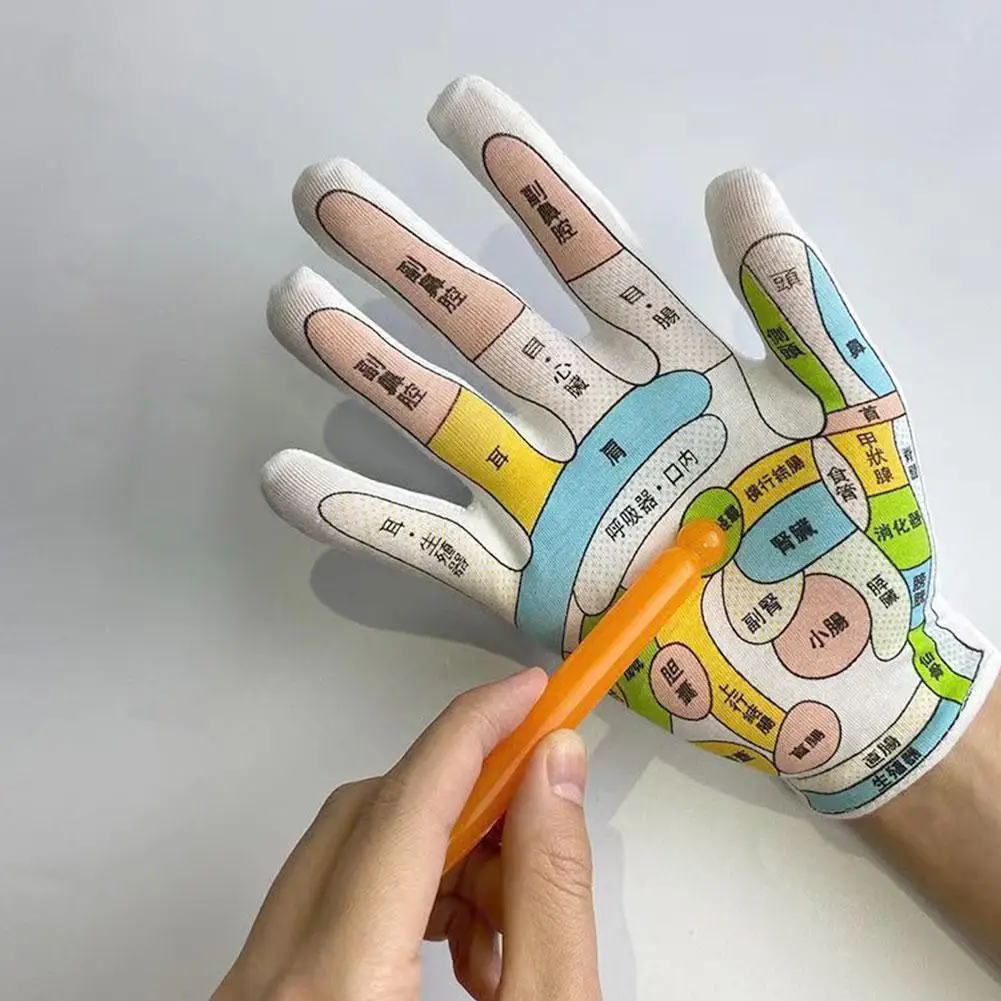 

Новые перчатки для отражения кожи Acupoint, ручная терапия, культурная иллюстрация, Традиционная китайская медицина, Кондиционер