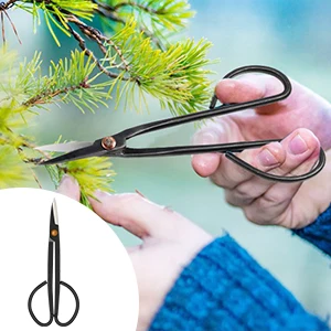 bonsai tool set