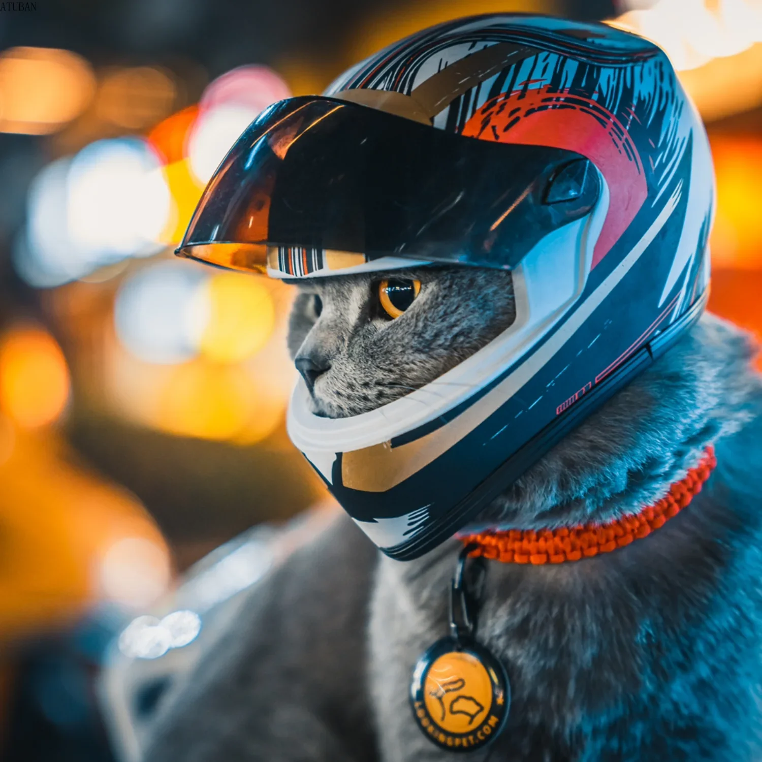 DIY Pet Helmets,Cat Helmet,Dog Helmet-Outdoor Mini Head