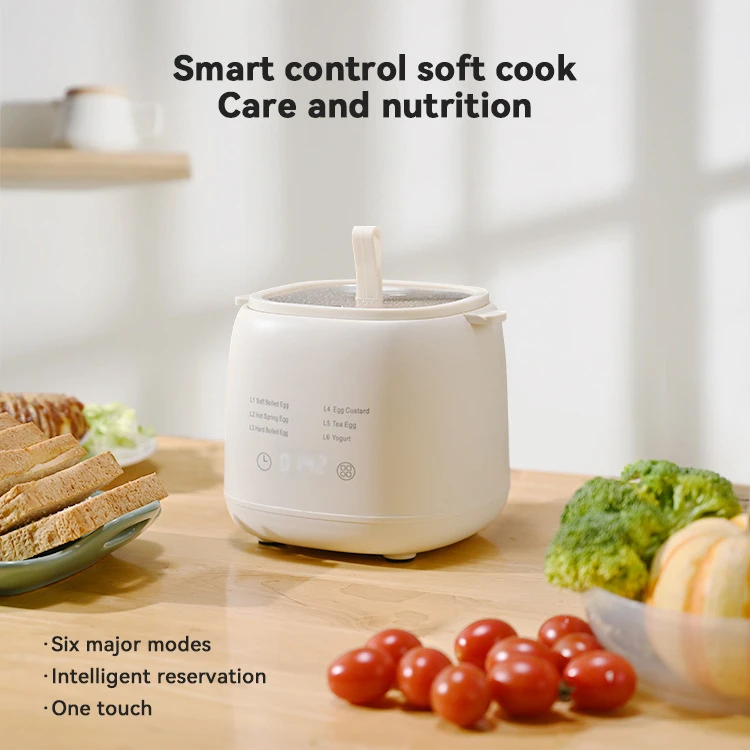 Description Picture 2 of itemEgg Boiler Home Breakfast Machine Multifunctional Boiled Eggs Hot Spring Eggs