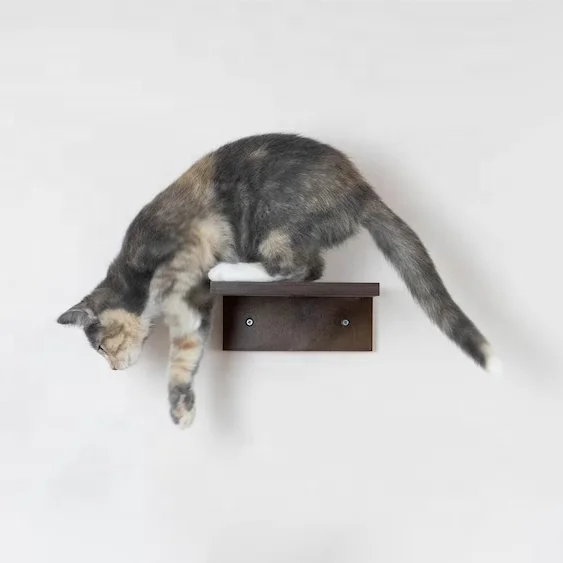 

Набор из 4 ступеней для кошек, темный подъем, деревянные ступени, дерево для кошек, настенная лестница