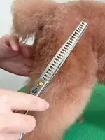 Ножницы Fenice VG10 7 дюймов для животных