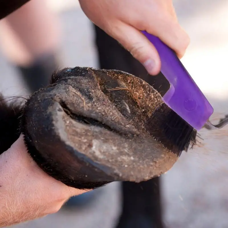 Hoof Picks For Horses 2 In 1 Horse Grooming Supplies Hoof Pick For Horse Cleaning Horse Hoof Polish Hoof Pick With Brush 5