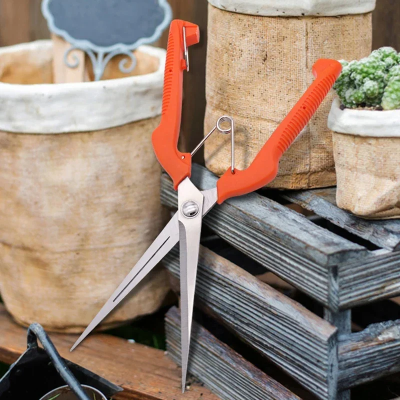 Grape pruning shears opened to show blade length