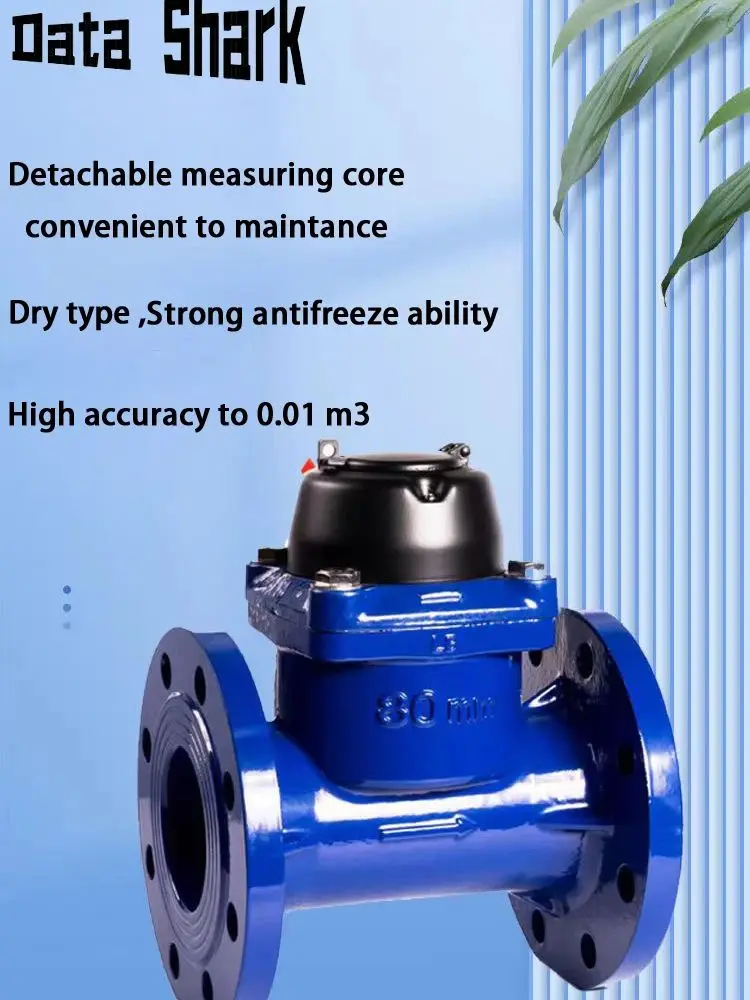 Abnehmbarer Trockenrotor Typ Flansch DN80 DN100 abnehmbarer mechanischer Wasserdurchflussmesser Woltman Warmwasserzähler – Detail 1