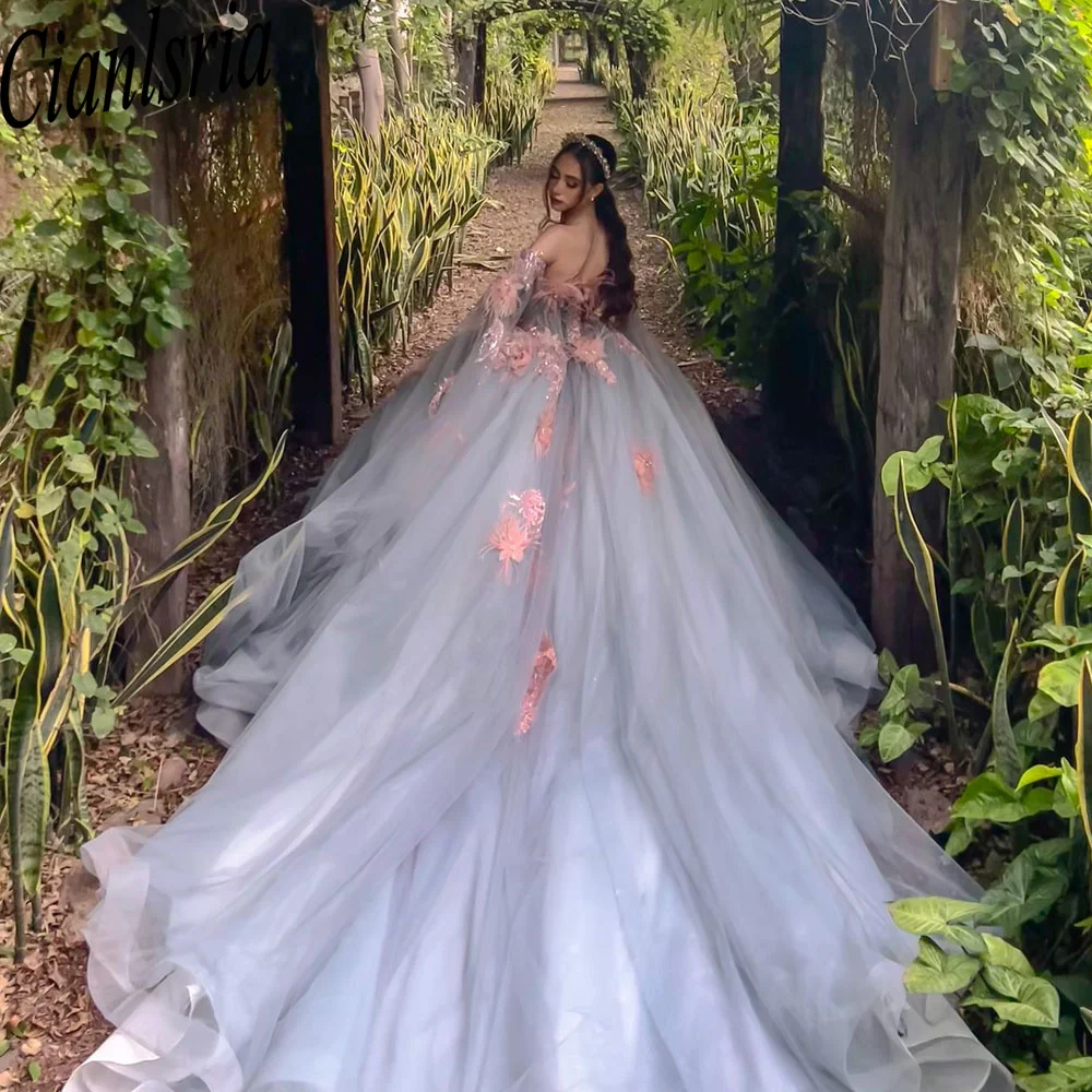 

Серые милое платье Quinceanera с бусинами, 3 Цветочная аппликация, кружевные бусины с открытыми плечами, Милые 15 дней рождения