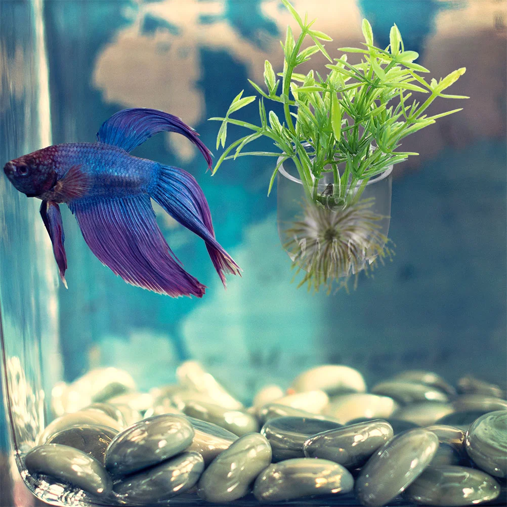 Fish tank ornaments 8 Pcs aquarium plant holder hydroponic flower pot fish food feeding cups tank flowerpots aquatic
