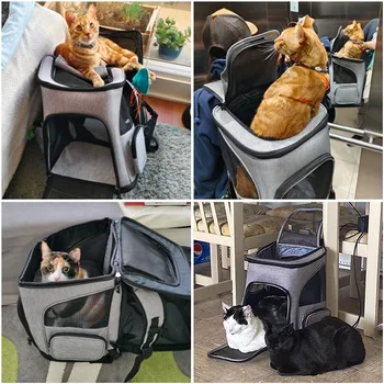 Expandable Pet Carrier Backpack 5