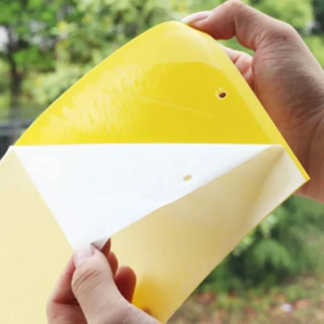 Erõs Legyek Csapdák Hibák Ragacsos Tábla, Amely Levéltetvek Rovarok Kártevő Gyilkos Szúnyogrugó Ragasztó Matrica Repülõkapó 10*15 Cm - Image 5