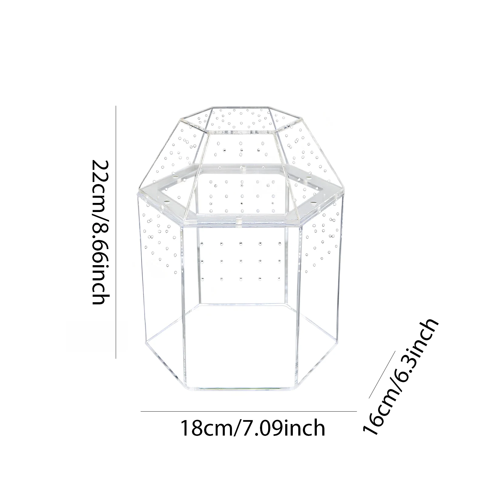 Terrarium Habitat Acrylic Bug Terrarium Full Transparency Mini Tarantula Enclosure All-Side Ventilation for Frog Crickets Snails
