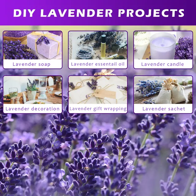 Pacotes de lavanda seca natural, Flores para casa, Decoração do casamento,  Arranjos de flores, Fragrância Home, Decoração Boho - AliExpress