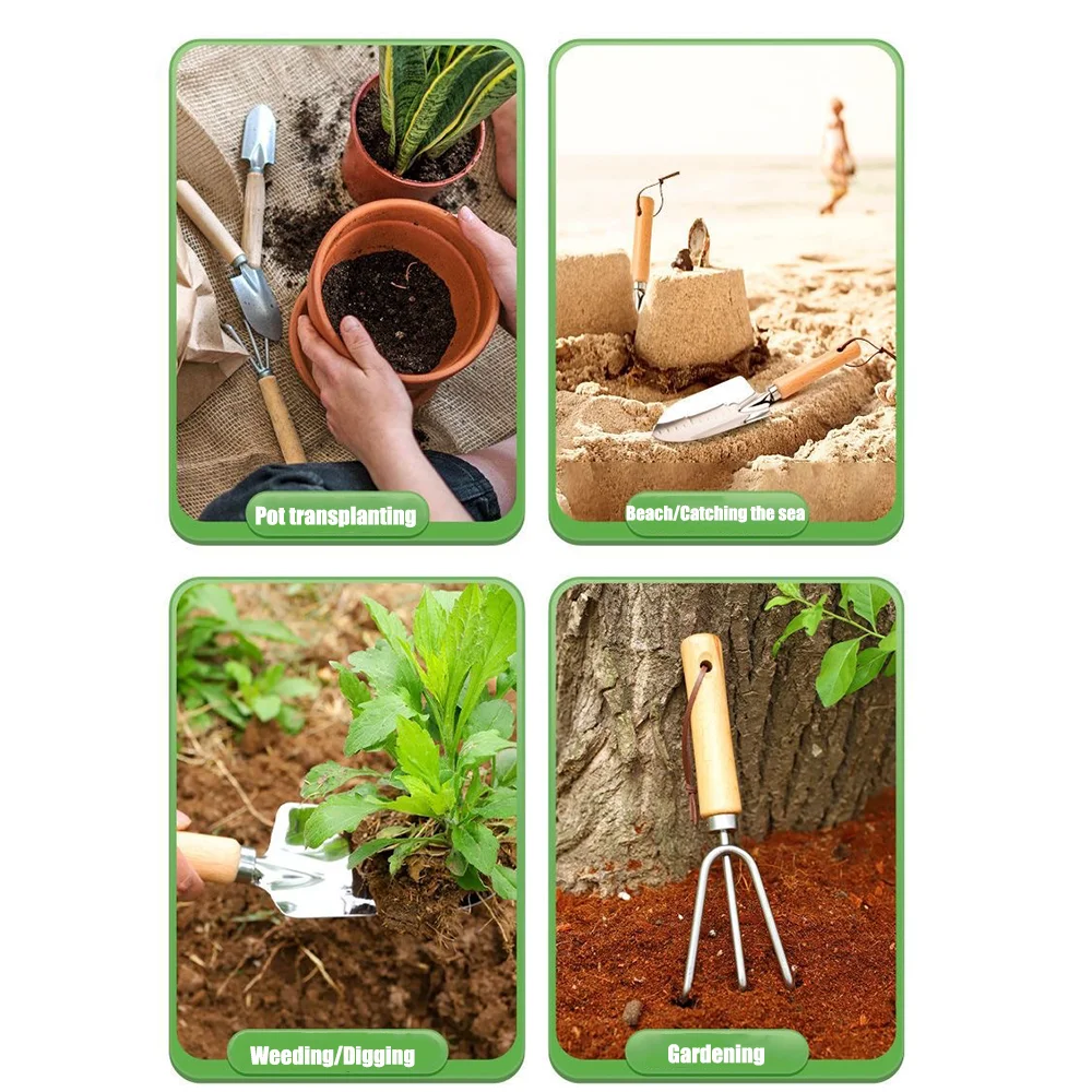 Slide image 9855a9ba3b11497da1434d7fa8930558