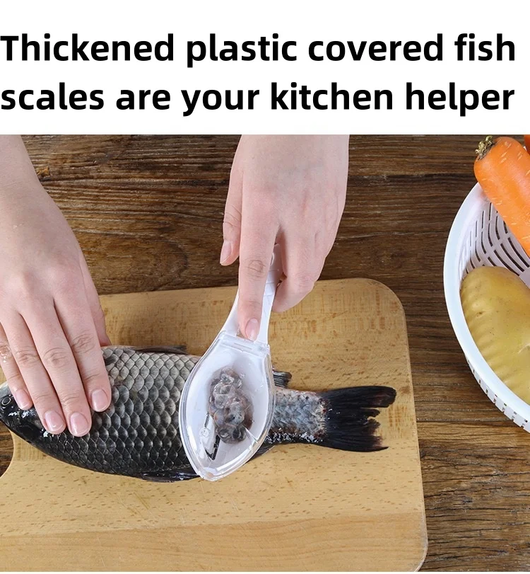 Multi-Function Fish Scale Scraper with Protective Lid