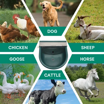 Automatic Water Bowl 4
