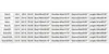 Women Lace-Up Medieval Dress Ruffles Bow Vintage Victorian Carnival Maxi Dress Patchwork Floral Female Fairy Long Dress 6