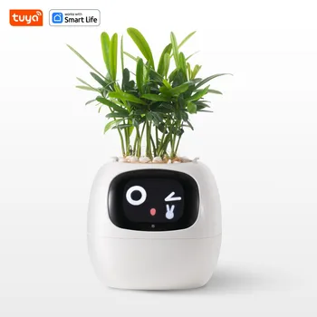 Tuya Ivy Smart Expression Planter 1