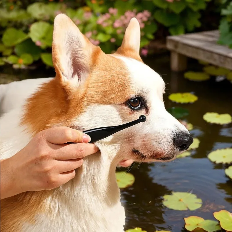 Pets Eye Comb dogs Tear Stain Remover Brush Pet Eye Cleaning Brush Cleaning Accessories Removing Crust Mucus for Small Cat Dog