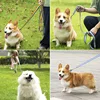 New Rainbow Walking Dog Rope Large Medium And Small Dog Traction Rope Snap On Pet Collar Nylon Strap Woven Dog Pet Accessories 2