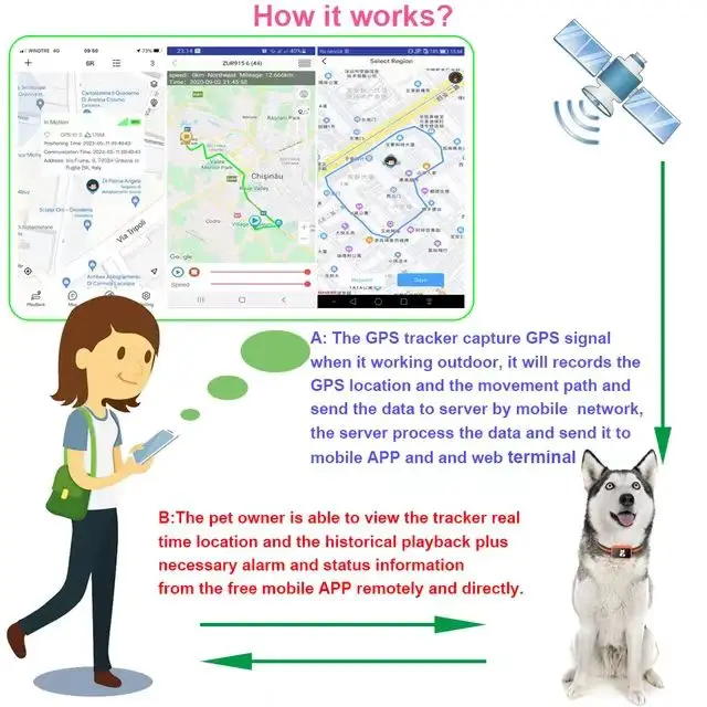 Valla Inalámbrica Inteligente para Perros con Collar GPS y App Móvil S6a0af23cbc9b4484828d768dec2cdbcav
