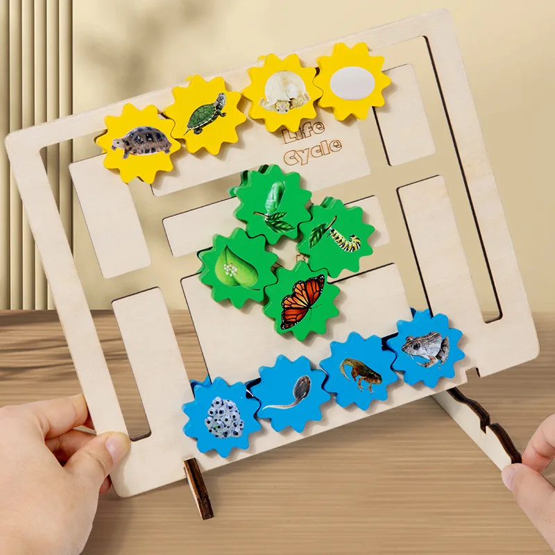 

Animal Cognitive Maze Board Toys Life Growth Cycle Evolution Gear Montessori Science Teaching Aids Kids Biology Education Game