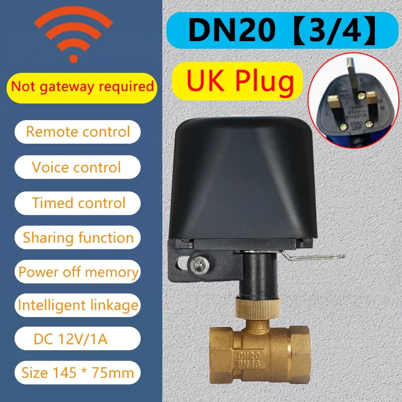 WiFi DN20 UK Plug