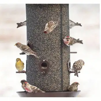 Giant combination screen bird feeder, 10 lb capacity, built-in drain, screw cap design, easy to fill, suitable for bird lovers 1