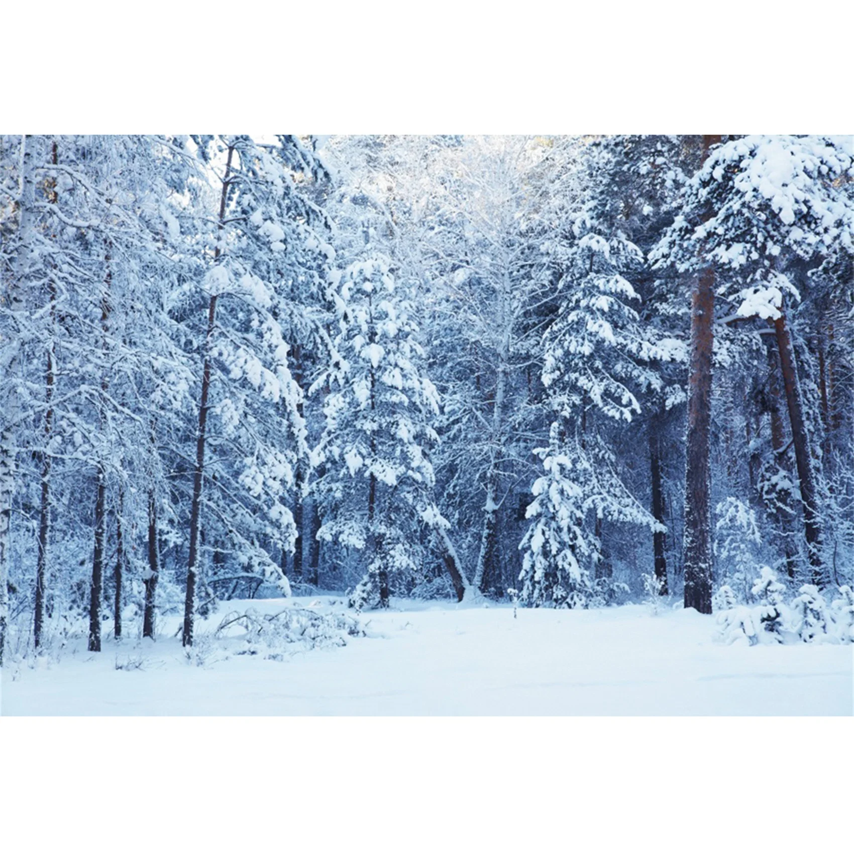 thumbnail image 1 of Fondos fotográficos con escena de nieve y árboles en el bosque invernal de Yeele para sesión fotográfica, decoración, fondos fotográficos para estudio fotográfico, 1 of 5