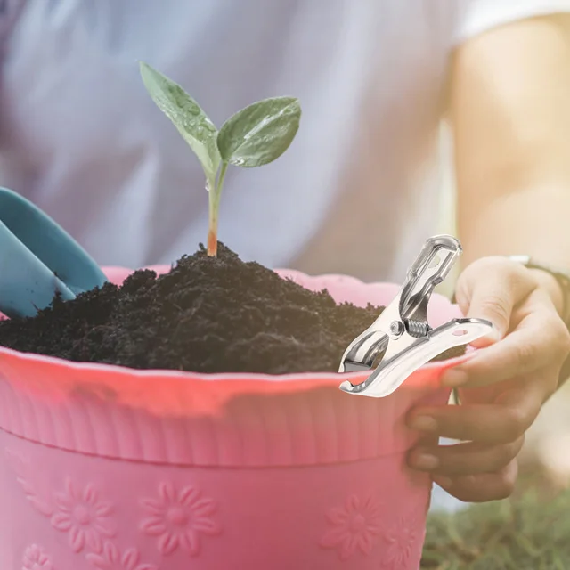 30 Db Rozsdamentes Acél Üvegházhatású Klipek Kertmosó Mosoda Queen Méretű Keret Fém Szárító Zokni Fogas Karika Növények - Image 5