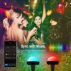 Outdoor LED Light IP65 Smart Wifi USB 10M 20M Voice APP Remote Control Garden Light for Lawn Courtyard Christmas Festival Lamp 6