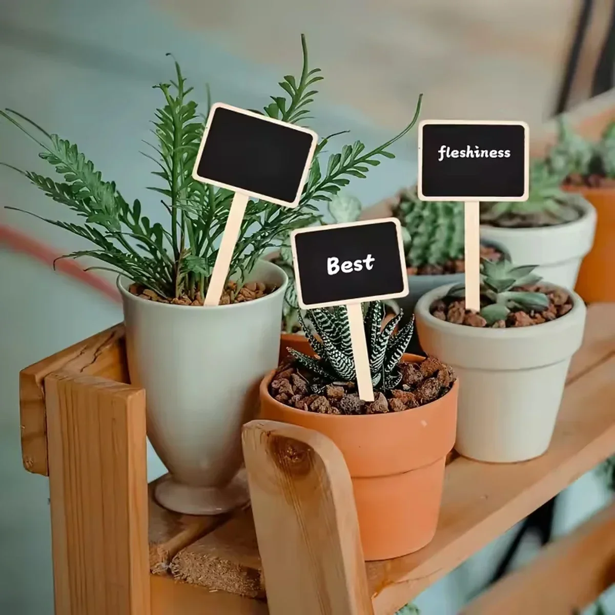 Rustic Wooden Plant Labels, T-Shaped Garden Sign Blackboard Floor Mount