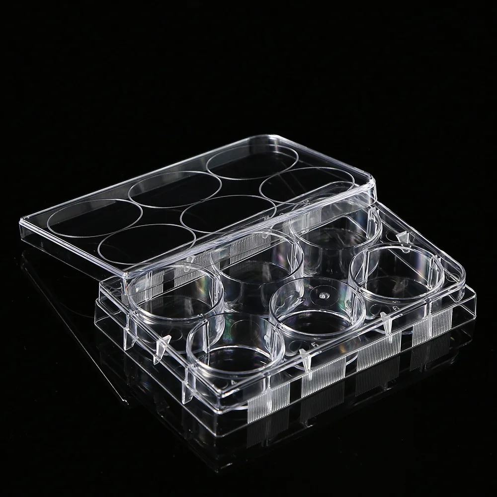 5Pcs Polystyrene 6 Well Petri Dishes Culture Dish 6-Holes for Laboratory Medical Biological Scientific Lab Supplies
