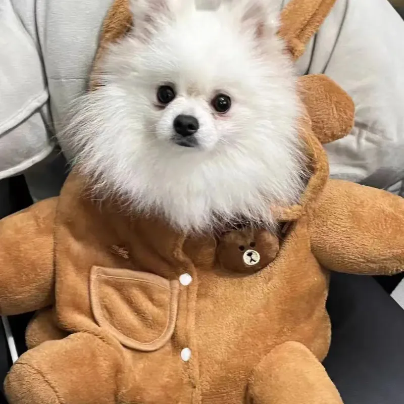 Portable Shoulder Bag Dog Bag Cartoon Kawaii Shoulder Winter Outing Warm Windproof Pet Products