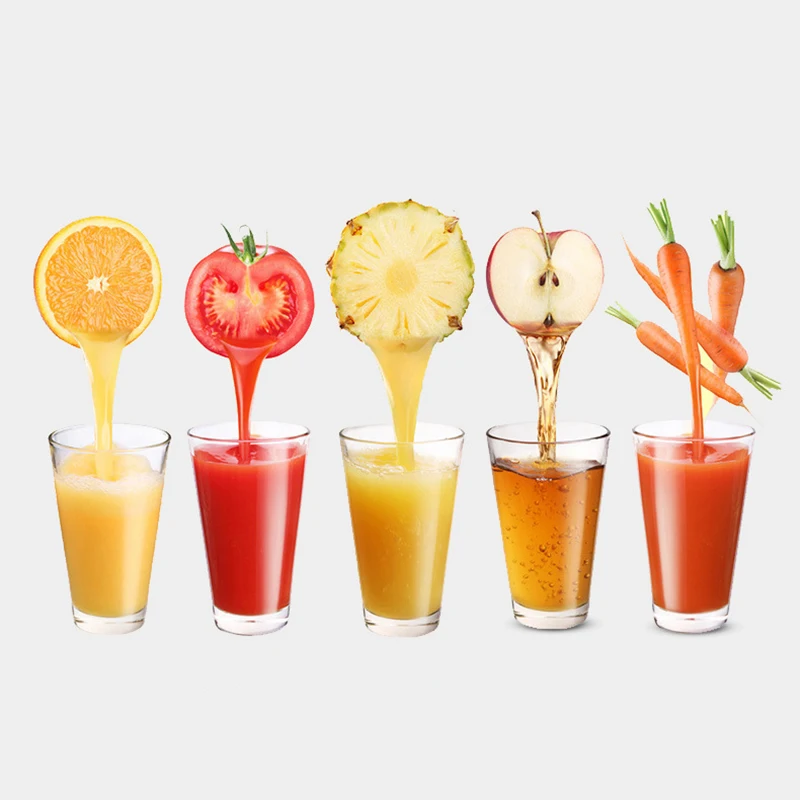 Juicer Commercial B3000 High-power Hotel Multi-functional Machine Stainless Steel Pulp Separator Cutter Net Leakage Filter 5