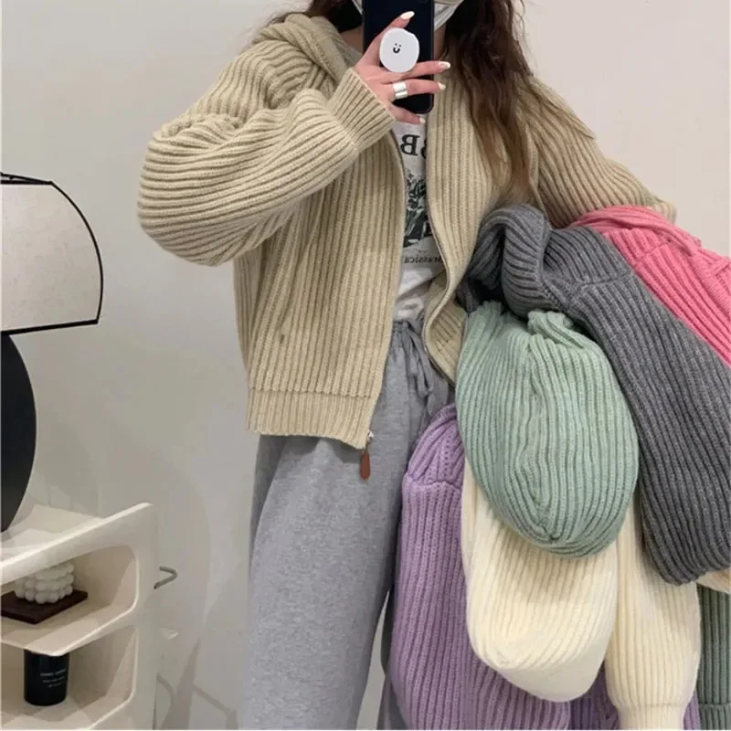 

Autumn Casual Knitted Cardigan Women Korean Chic Solid Long Sleeve Zipper Sweater Fashion All Match Preppy O Neck Outwear