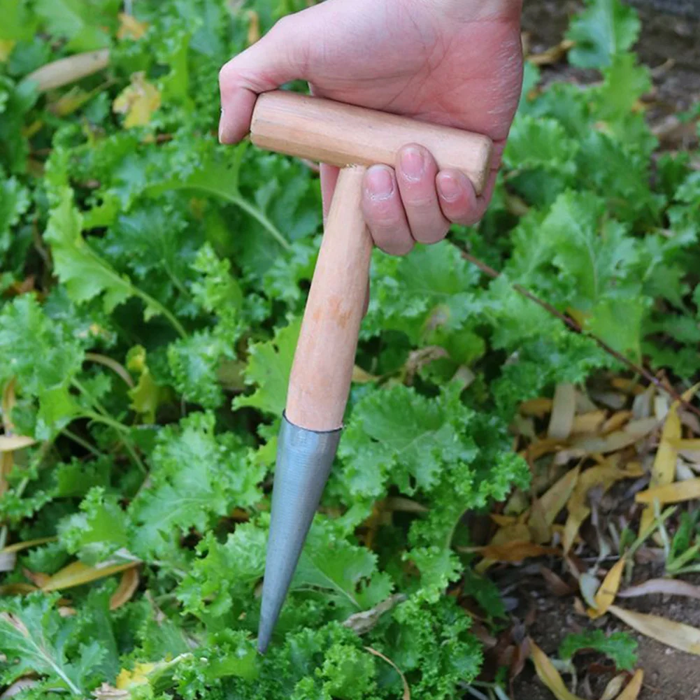 Hand Dibber Garden Tool Stainless Steel Sow Dibbler With Wood Handle Seed Dibber for Sowing Transplanting Planting Bulb Digging