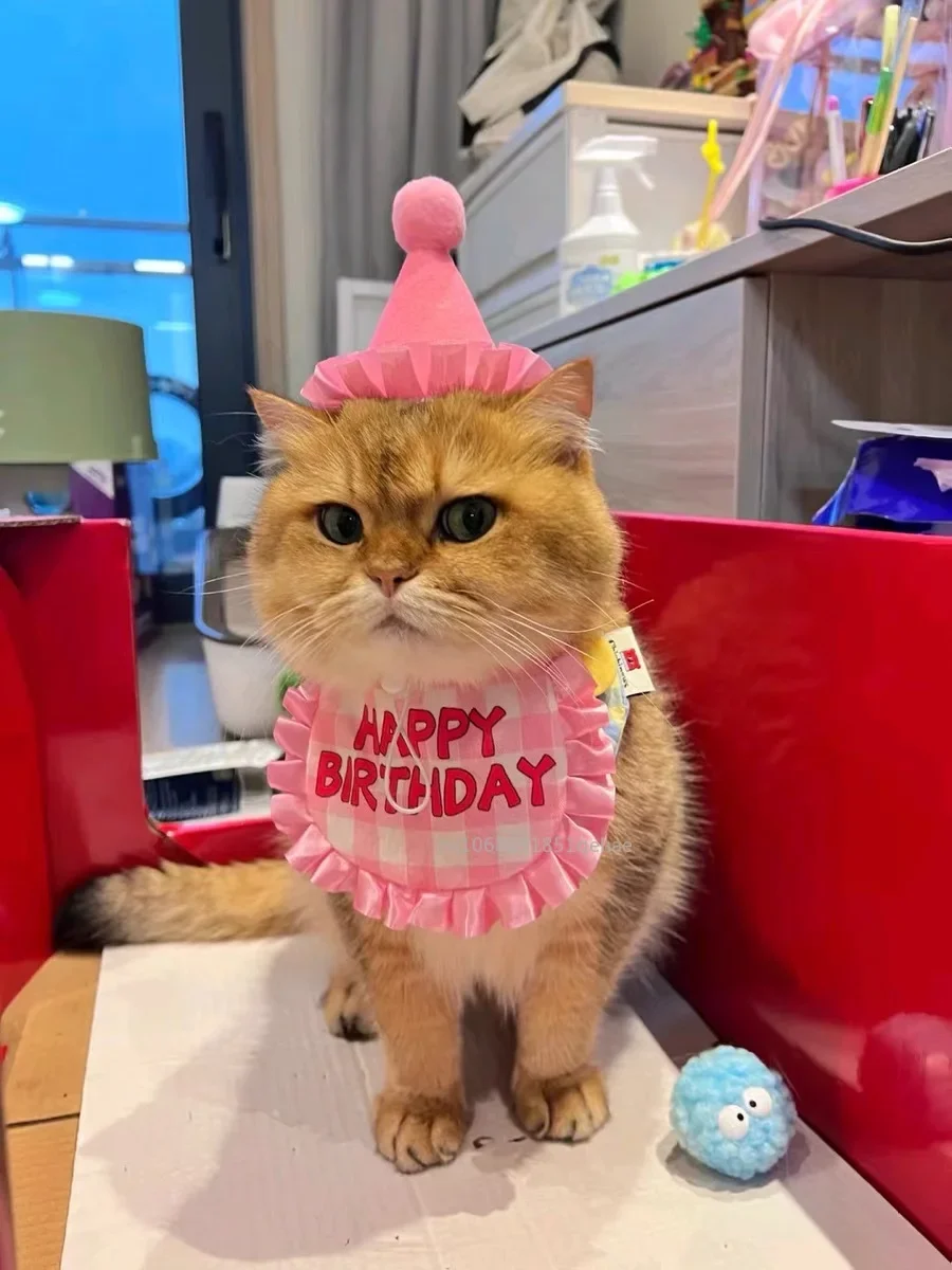 Cat Birthday Scarf Hat Set Dog Birthday Party Supplies Pet Scarf