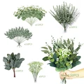 02-50PCS