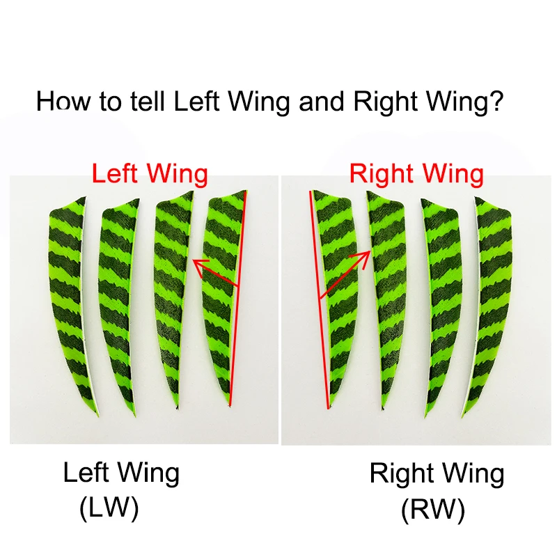 50Pcs 4" IBOUNFOX Archery Arrow Turkey Feather Fletching Left Wings 4 Inch for Bow Arrow Shaft Vanes DIY Shield 3
